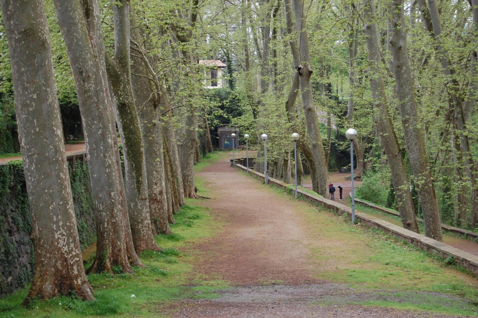 Vila El Solell De L'Avia Olot Exteriér fotografie